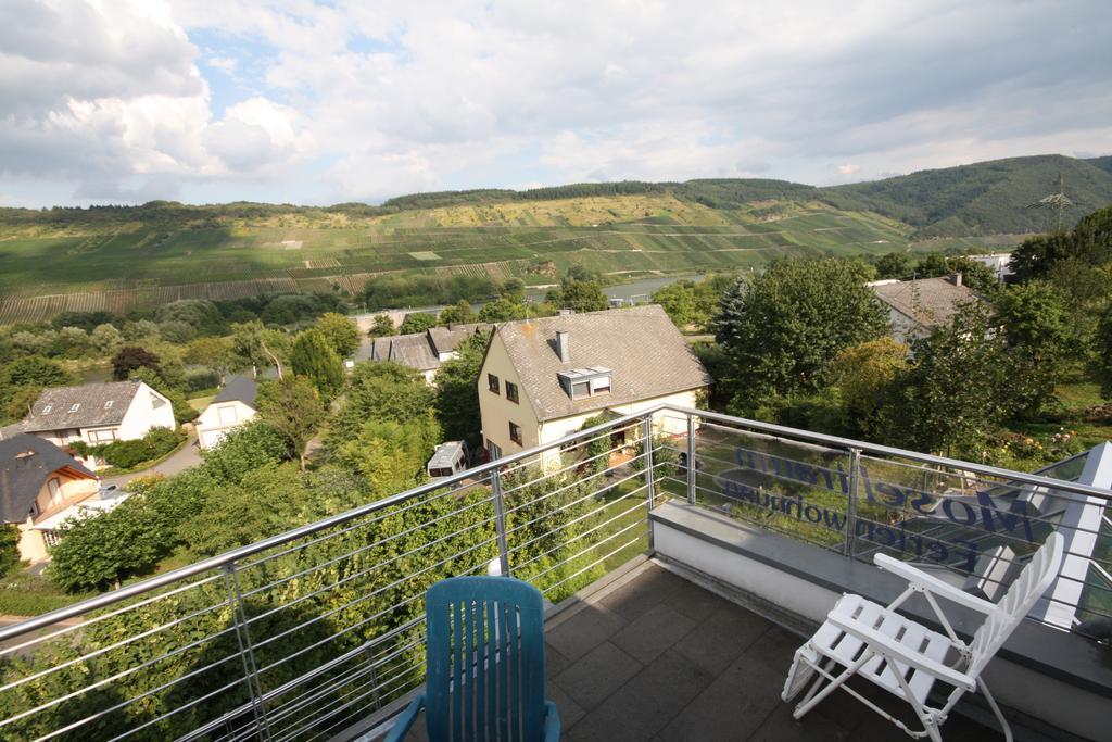 Moseltraum Alte Schmiede Apartment